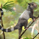 Image for article titled 8 Scientific Discoveries That Prove Evolution is Real